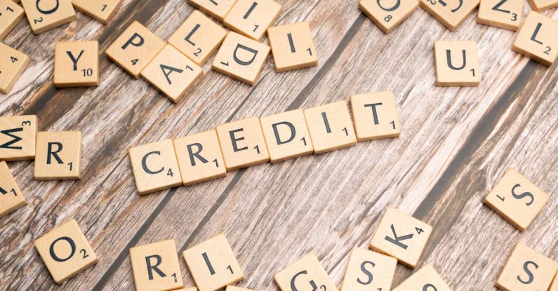 Repayment - Credit score and credit report